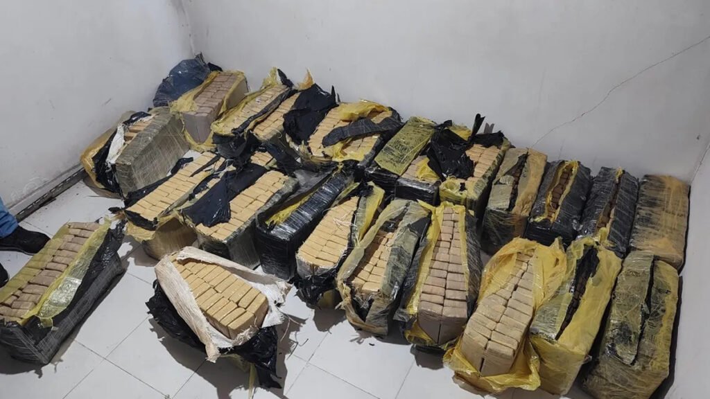 La policía secuestró al menos 700 bloques de marihuana embalados en cinta papel ocre.
